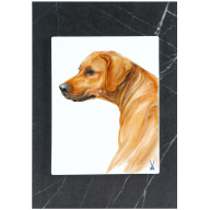 Wandbild, Mein Haustier, Hundeportrait, 30 x 21 cm