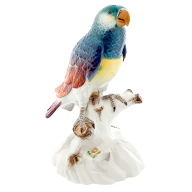 Vogel Papagei auf Felsen, Bunt staffiert