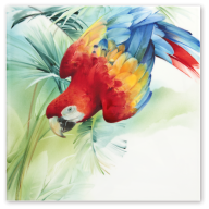 Wandbild Amazonas - Roter Ara, Lim. 25, 30 x 30 cm