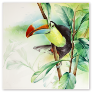 Wandbild Amazonas - Tukan, Lim. 25, 30 x 30 cm