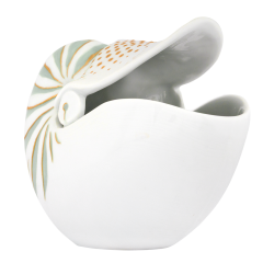 Nautilus shell " Golden dots", Unique Objects by Maria Walther, H 13,5 cm