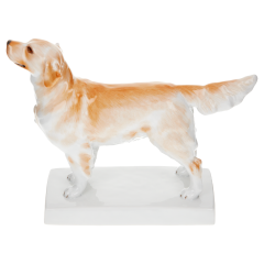 Hund Golden Retriever, Bunt staffiert, H 13,2 cm