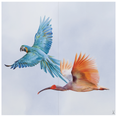 wall painting "Macaw and Ibis", 60 x 60 cm