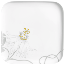 Vorspeise- und Dessertteller, Form "Nova", Passionsblume, 21 x 21 cm