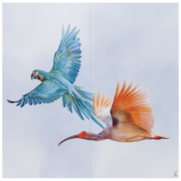 Wandgemälde "Ara & Ibis", 60 x 60 cm